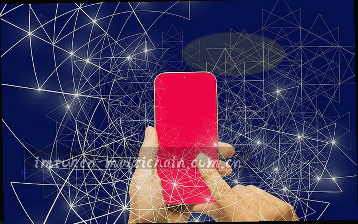 线框风格的多链资产分类界面示意：左侧为链分组列表与数量徽标，右侧资产条目按网络归集，顶部保留搜索与筛选入口